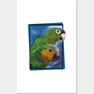 parrots Posters and Art